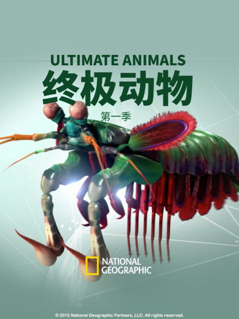 终极动物第一季}