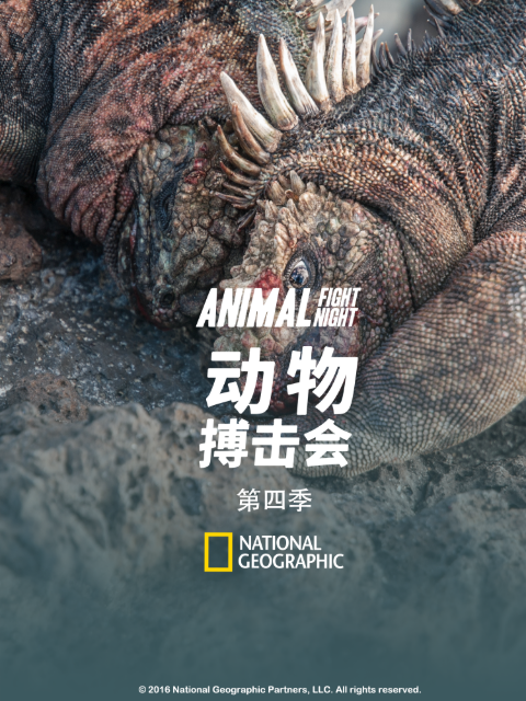 动物搏击会第四季}