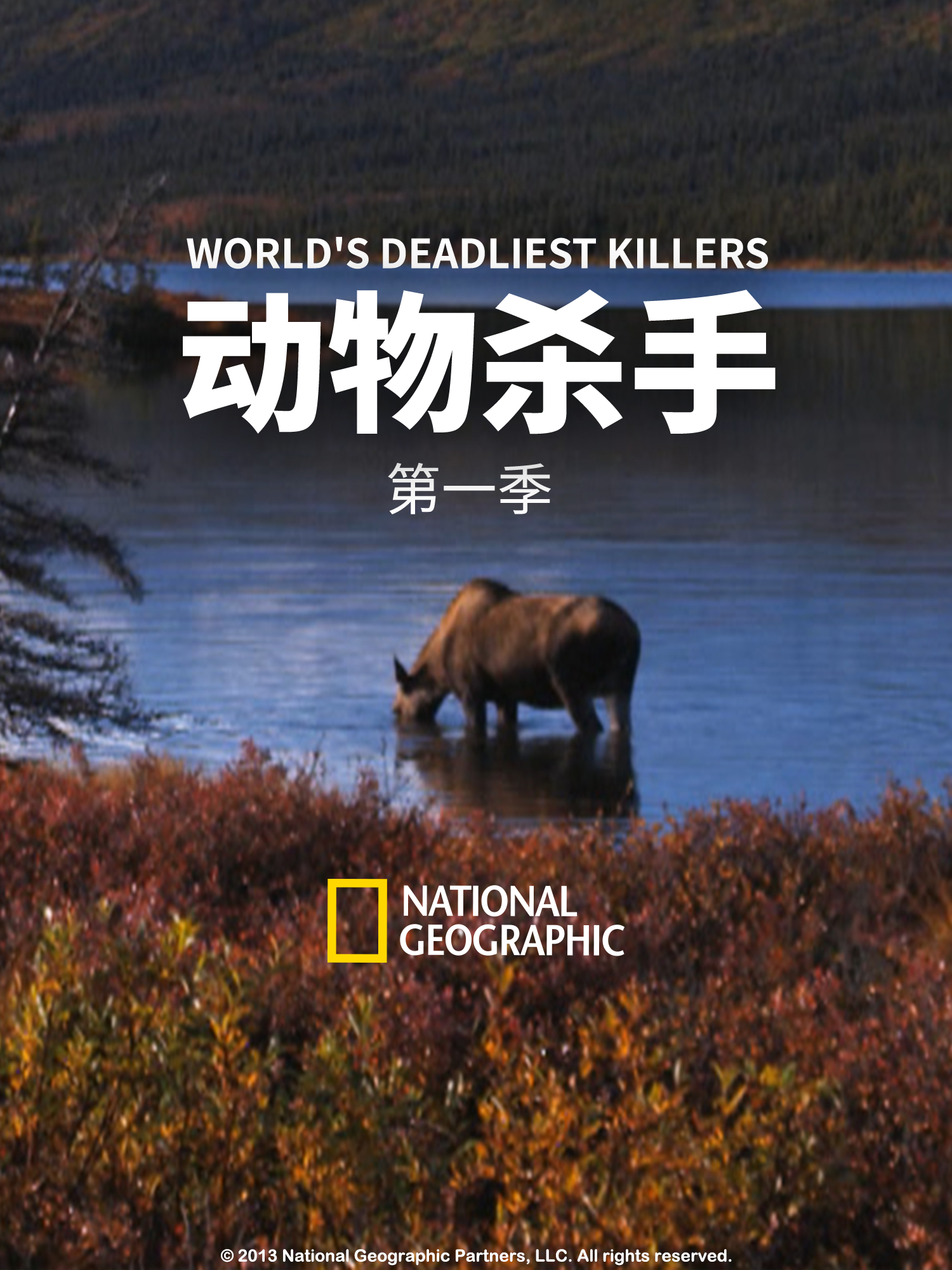 动物杀手第一季}