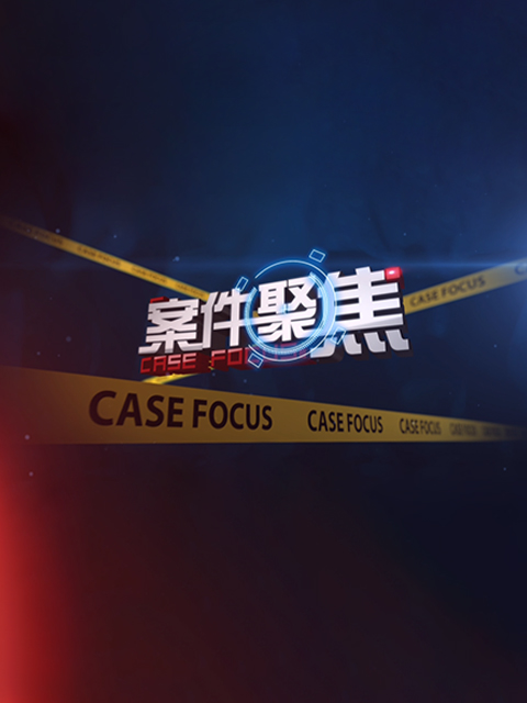 案件聚焦}