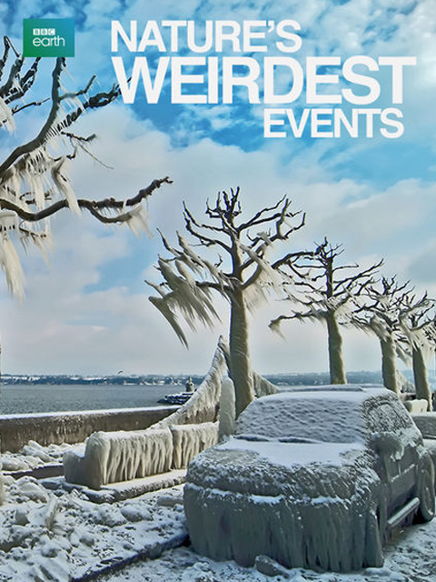 自然界最奇异的事件第二季}
