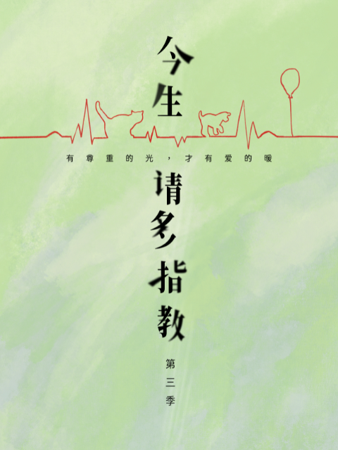 今生，请多指教3}