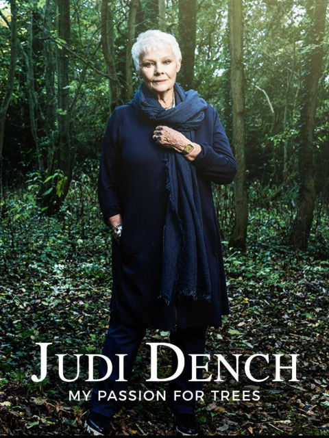 朱迪·丹奇：树之爱}