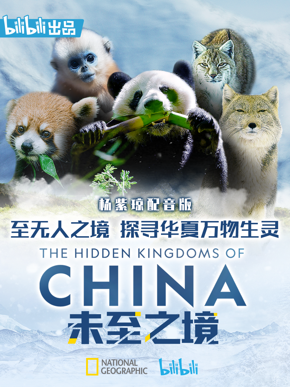 未至之境杨紫琼配音}