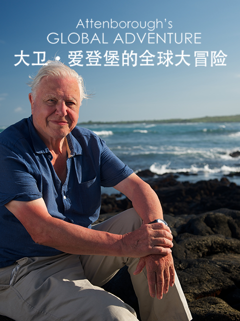 大卫·爱登堡的全球大冒险}