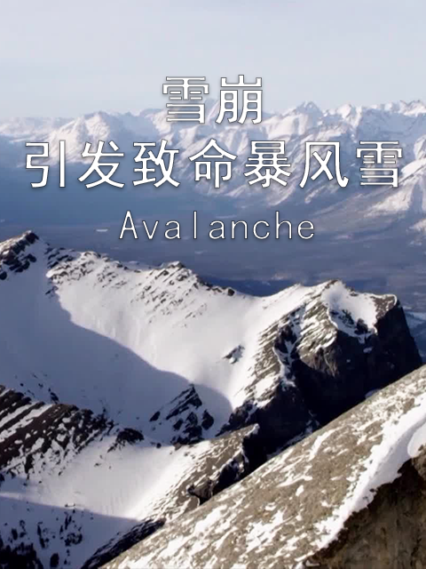 地平线系列之：雪崩引发致命暴风雪}