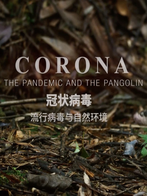 冠状病毒：流行病毒与自然环境}
