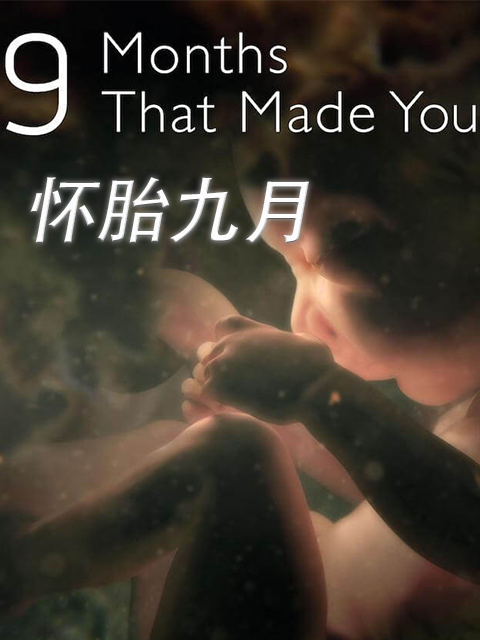 地平线系列:怀胎九月}