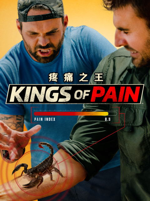 疼痛之王}