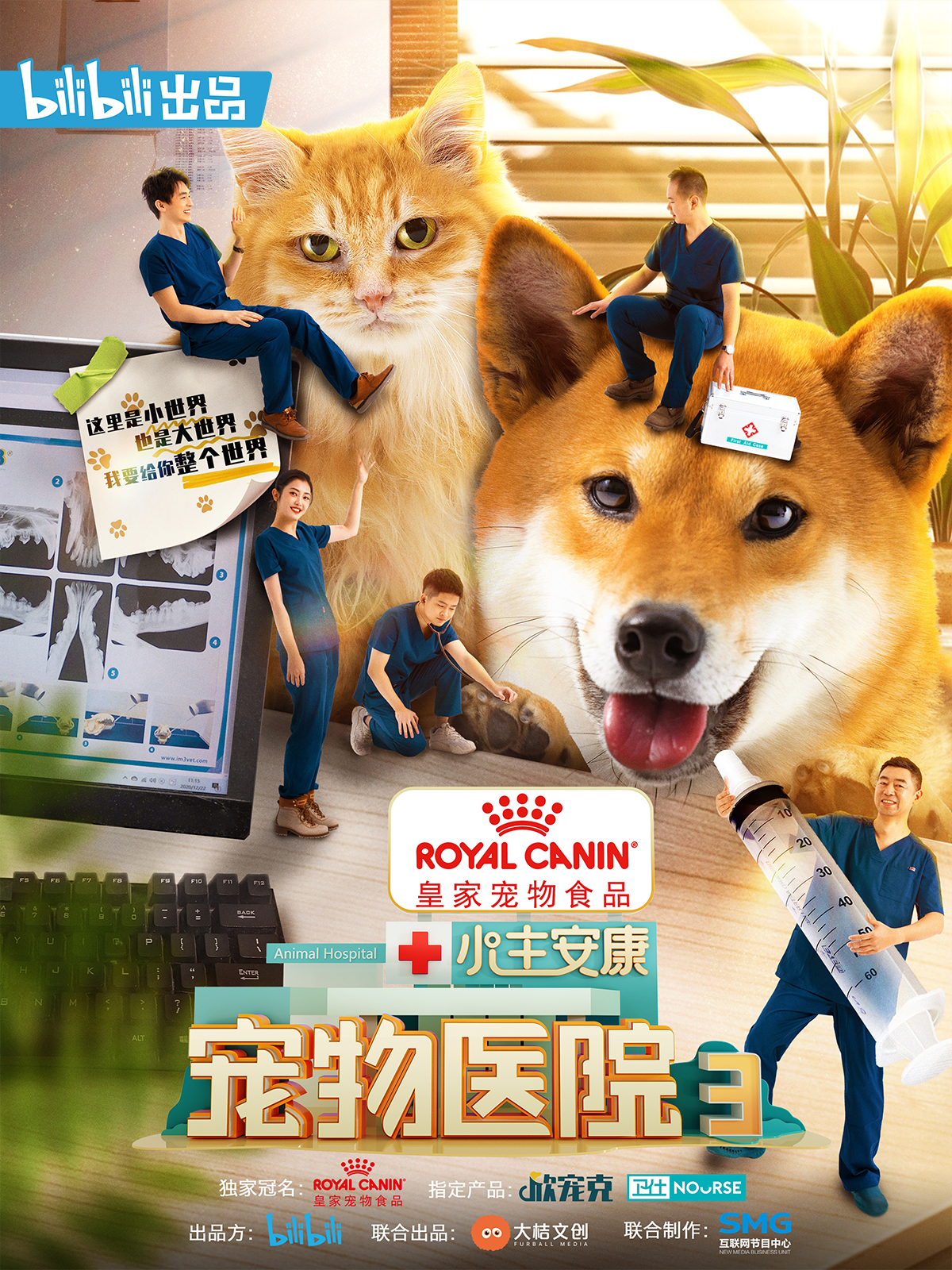 小主安康-宠物医院3}