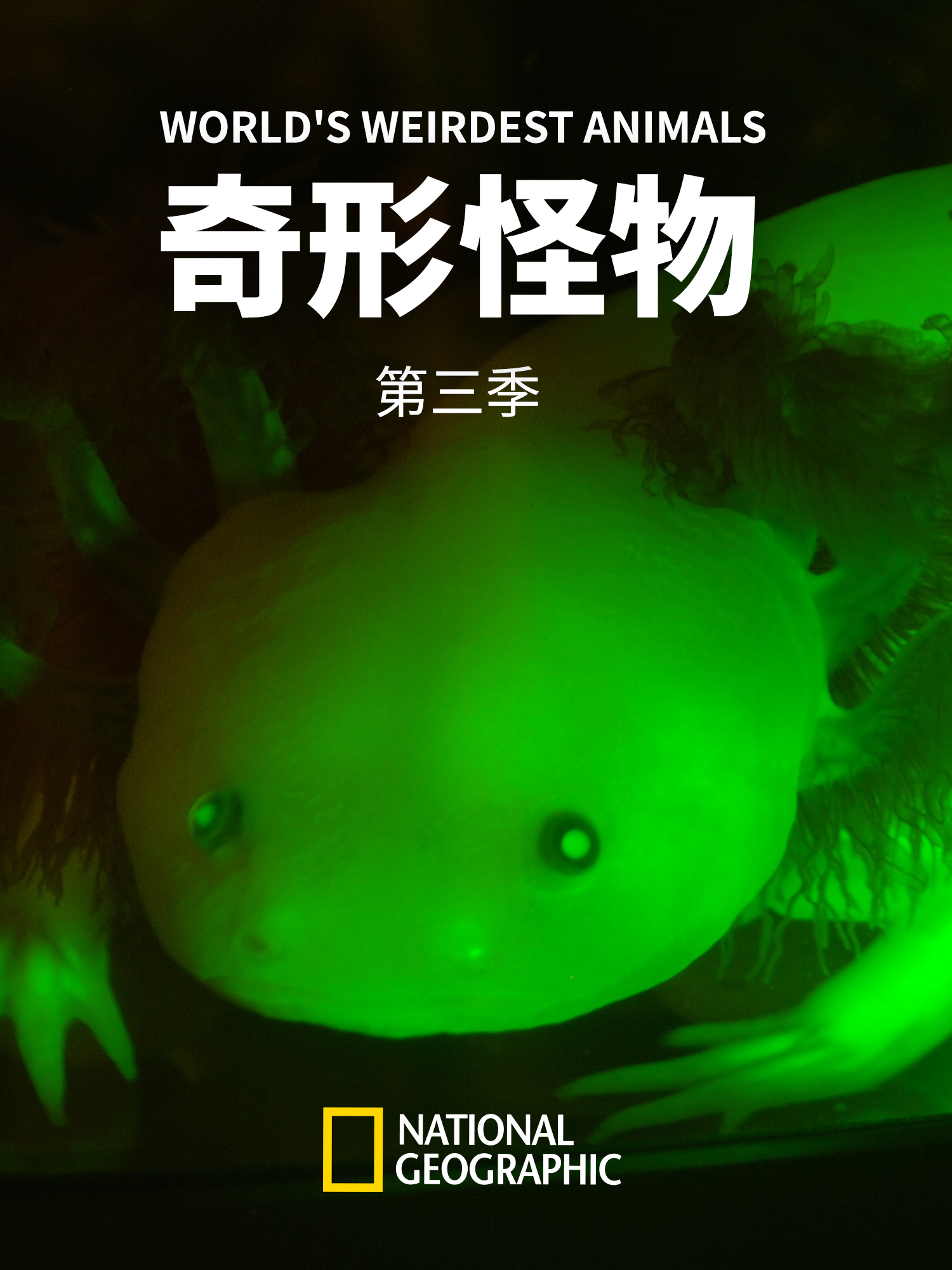 奇形怪物第三季}