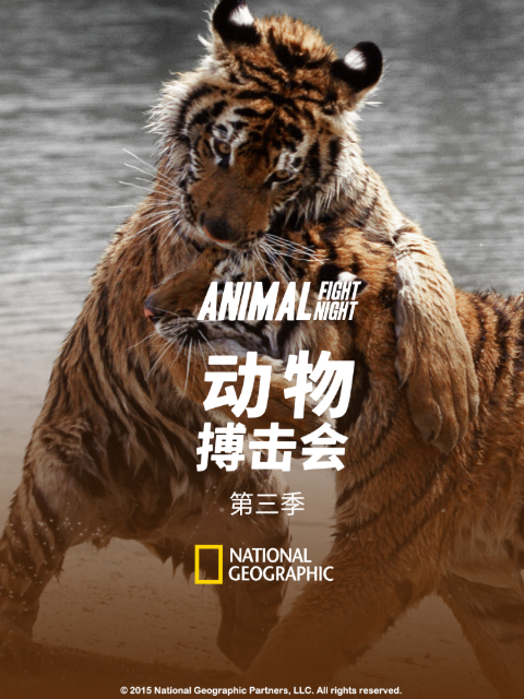动物搏击会第三季}