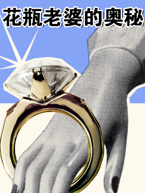 花瓶老婆的奥秘}