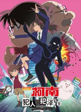 名侦探柯南犯人犯泽先生版}
