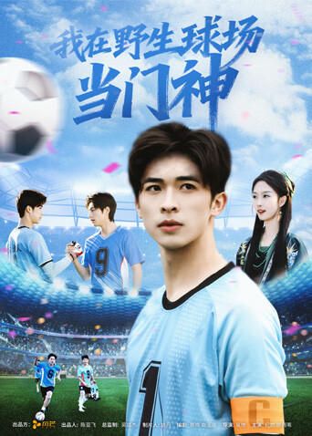 我在野生球场当门神}