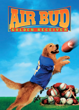 飞狗巴迪2金牌接球员版}