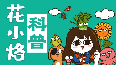 花小烙的知识科普}