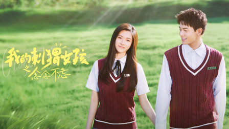 我的刺猬女孩之念念不忘}