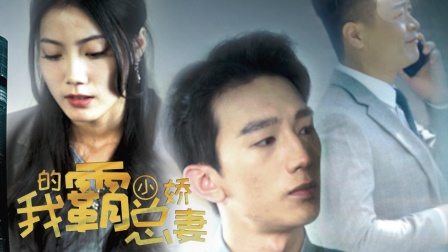 我的霸总小娇妻}