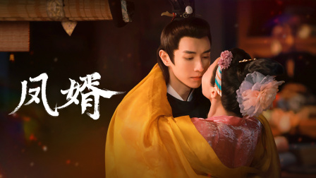 凤婿}