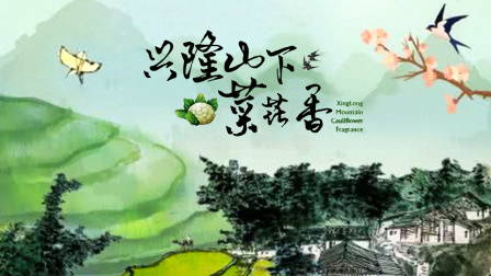 兴隆山下菜花香}