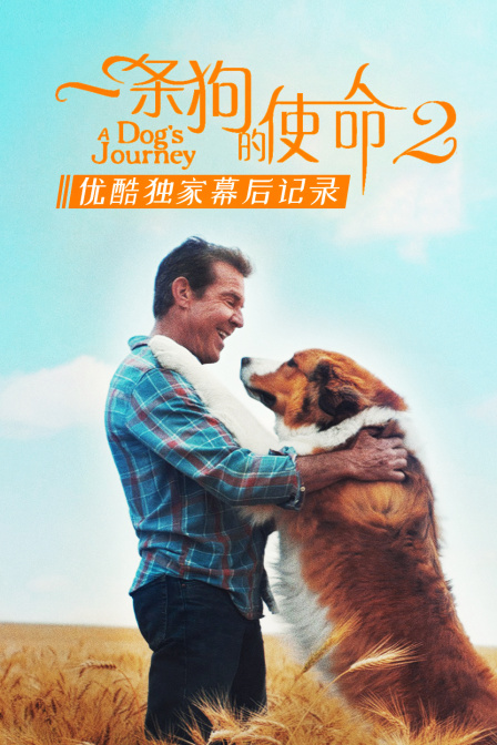 一条狗的使命2优酷独家幕后记录}