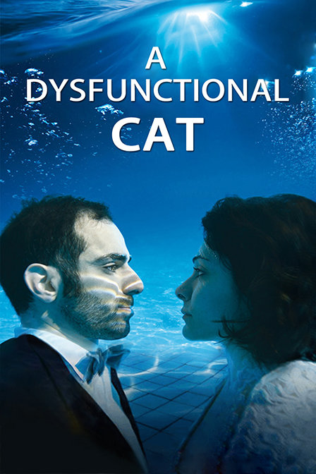 一只功能失调的猫}