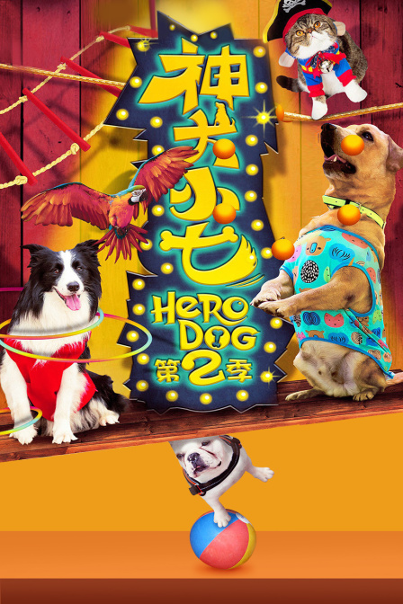 神犬小七第二季}