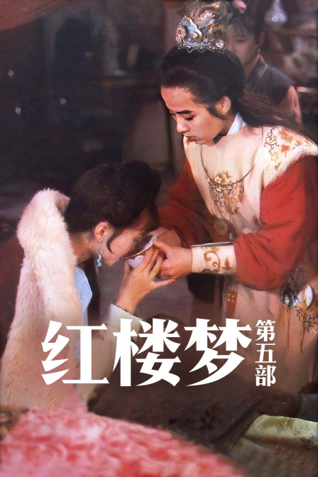 红楼梦第五部}
