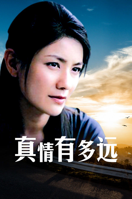 真情有多远}