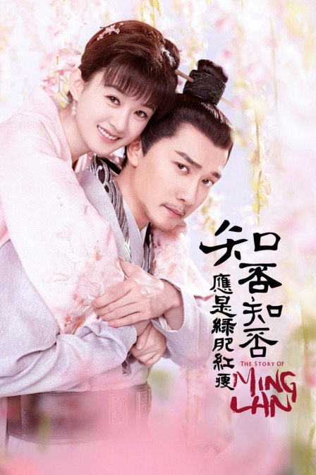 知否知否应是绿肥红瘦T第五季版}