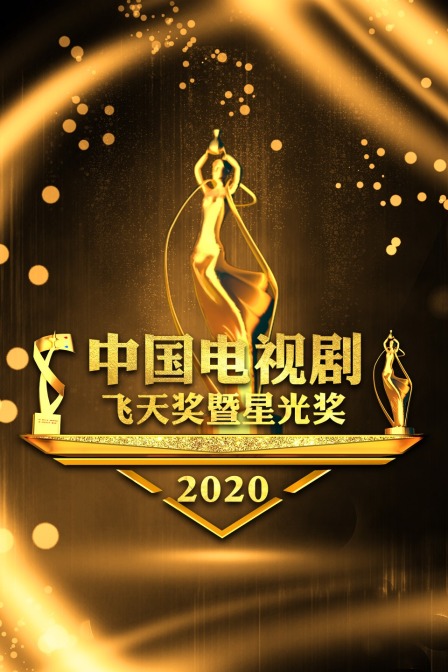 中国电视剧飞天奖暨星光奖2020}