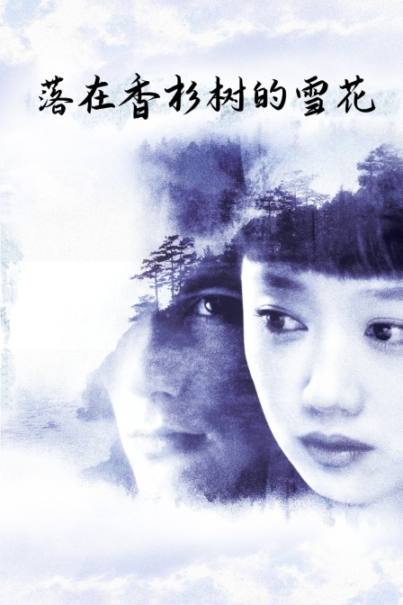 落在香杉树的雪花}