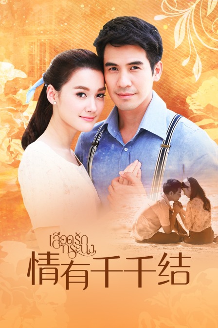 情有千千结T第五季版}