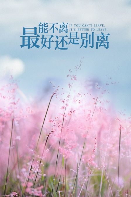 能不离，最好还是别离}