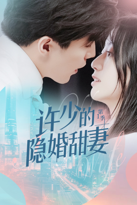 许少的隐婚甜妻}