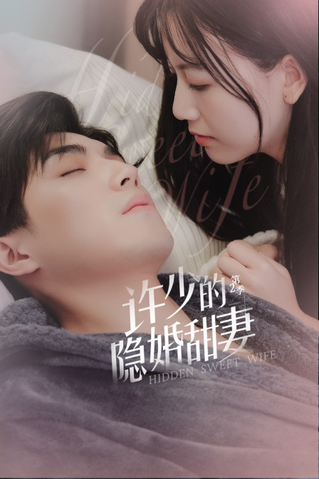 许少的隐婚甜妻第二季}