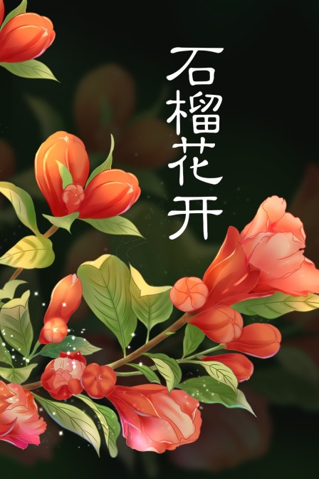 石榴花开}
