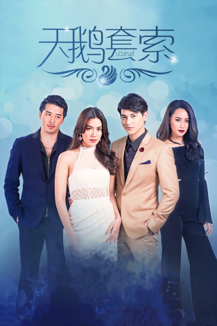 天鹅套索T第五季版}