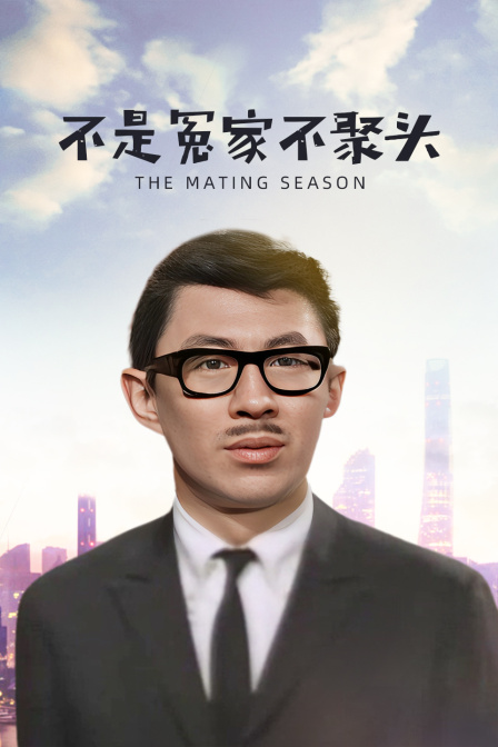 不是冤家不聚头}