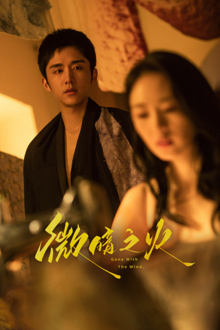 微暗之火T第五季版}