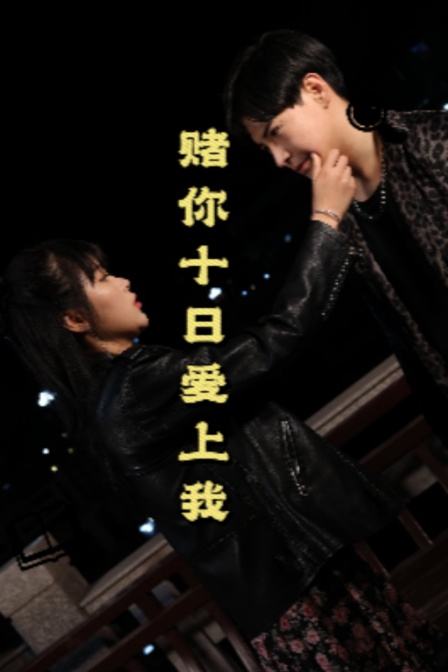 赌你十日爱上我}