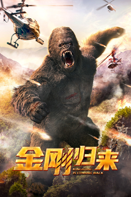金刚归来}
