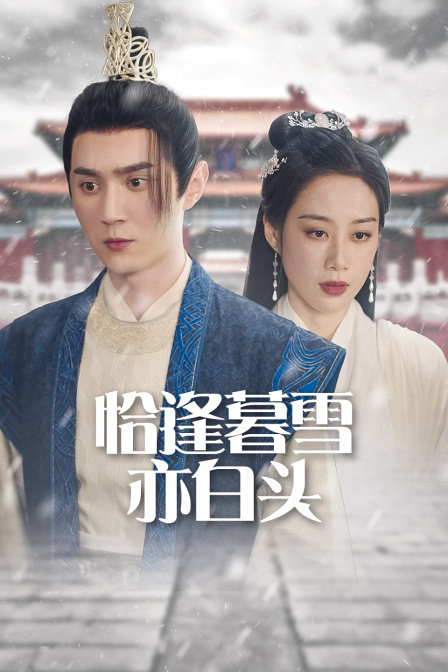 恰逢暮雪亦白头}