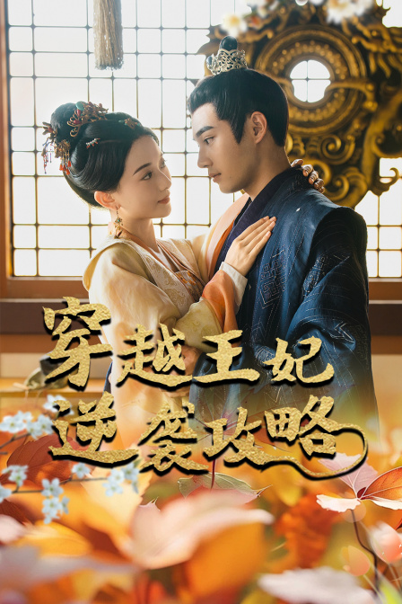 穿越王妃逆袭攻略}