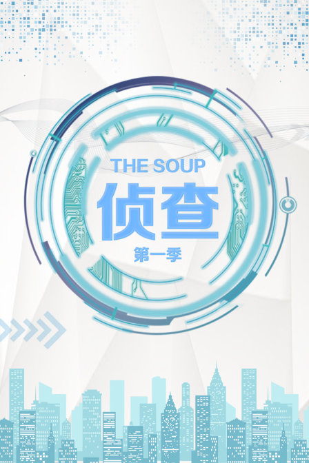 TheSoup侦查}