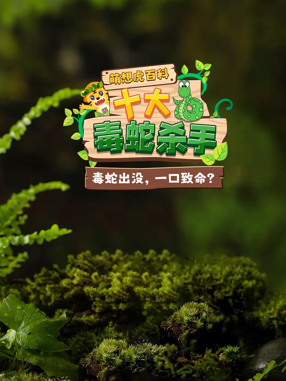 萌想虎百科：十大毒蛇杀手}