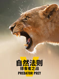 自然法则：掠食者之战}