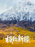 极致新疆}