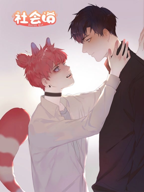 社会喵动态漫画}